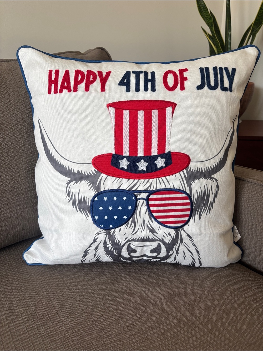 Hobby Lobby Happy 4th Of July Fiber Filled,zip close,Highland Cow American Pride